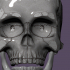 human skull image