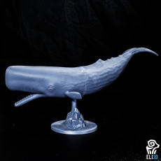 Picture of print of Sperm Whale - Animal This print has been uploaded by ELI 3D