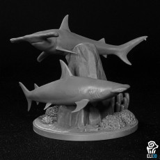 Picture of print of Hammerhead Shark Diorama - Animal