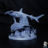Hammerhead Shark Diorama - Animal image