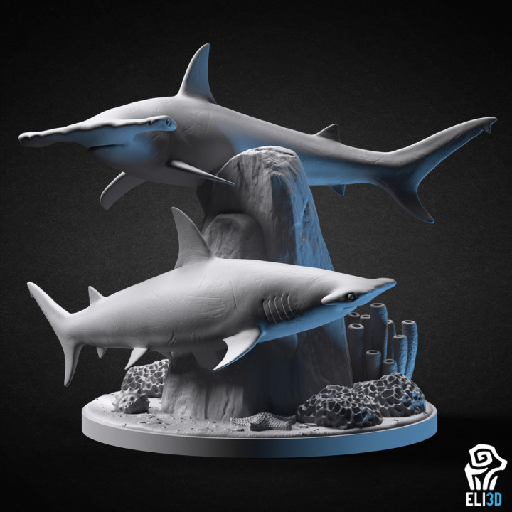 Hammerhead Shark Diorama - Animal's Cover