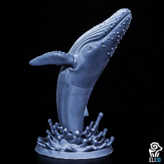 Picture of print of Humpback Whale Breaching - Animal Dieser Druck wurde hochgeladen von ELI 3D