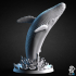Humpback Whale Breaching - Animal image