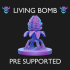 Living Bomb - Pre Supported image