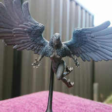 Picture of print of Harpy Mob - Tabletop Miniature (Pre-Supported)