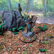 Picture of print of Wood elves spear lord