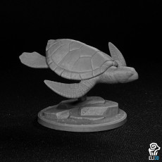 Picture of print of Sea Turtle - Animal