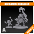 Orc Shaman and Goblin Sidekick Kit image