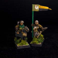 Picture of print of Halfling Cavalry Multipart Kit (pre supported)  (S)