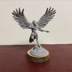 Picture of print of Aarakocra warriors 6 miniatures 32mm  pre-supported