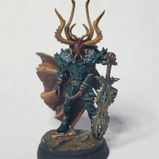 Picture of print of Everdark Elves Lord