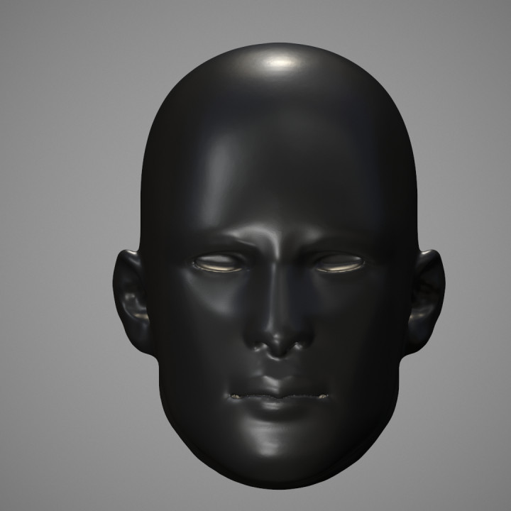 Printable Human Head STL
