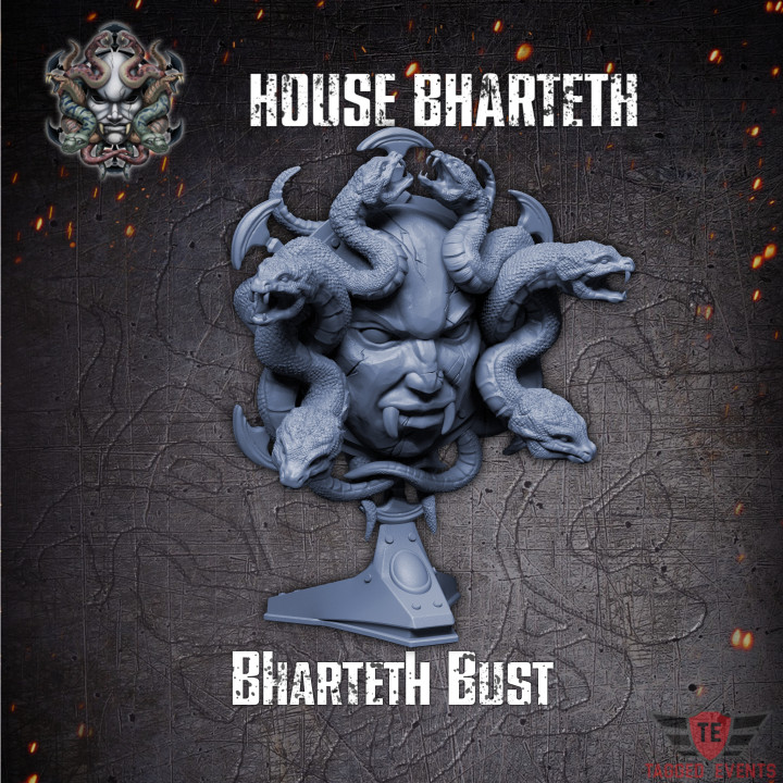 House Bharteth - Strife Bust's Cover