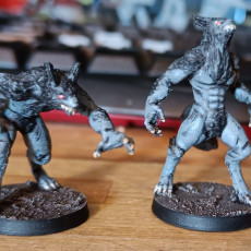 Picture of print of werewolf 4 poses