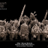 Orc Boar Riders multi-part regiment image