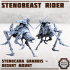 Erroish Chief - Desert Rider image
