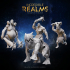 IR01M030 Giants Monsters :: Incredible Realms Nulan & Tinjan image