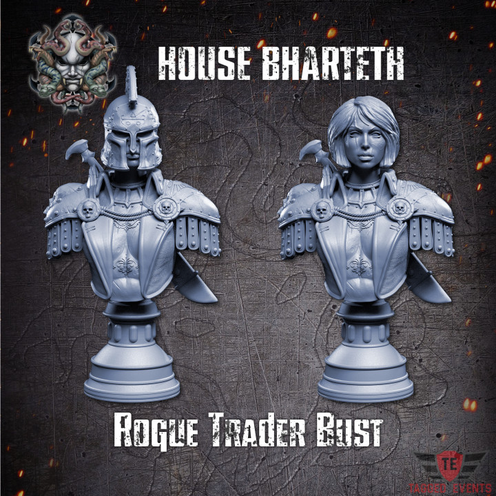 Rogue Trader Bust's Cover