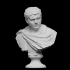 Portrait of Caracalla on ancient unrelated bust image