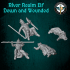 River Realm Elf Down and Wounded image
