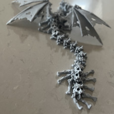 Picture of print of Hollow Dragon