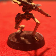 Picture of print of Skeleton Bowmen / Archers (free)