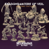 Shadowdancers of Veil - Crusader image