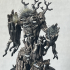 Curse of the Emerald City - Rotwood Apple Treant print image