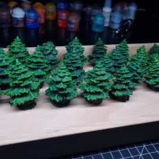 Picture of print of Forest-terrain-forest-terrain-terrain