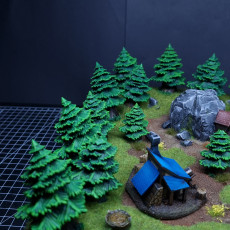 Picture of print of Forest-terrain-forest-terrain-terrain