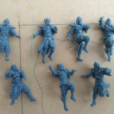 Picture of print of High elf fantasy football team