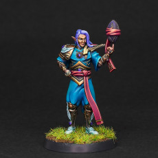 Picture of print of High elf fantasy football team