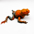 Flexi Toad Frog articulated print-in-place no supports image