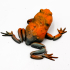 Flexi Toad Frog articulated print-in-place no supports image