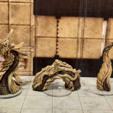 Picture of print of Root Wyrm - Wood Dragon - PRESUPPORTED - 32mm Scale