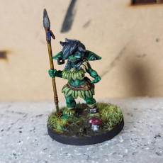 Picture of print of Amazonian Goblin Forager