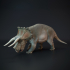 Triceratops grazing dinosaur image