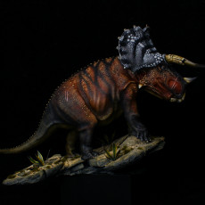 Picture of print of Triceratops old bull dinosaur