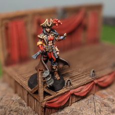 Picture of print of Female Captain Pirate