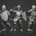 Sunland Swordsmen - Highlands Miniatures image