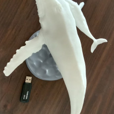 Picture of print of Humpback Whale and Calf