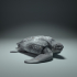 Leatherback Sea Turtle image