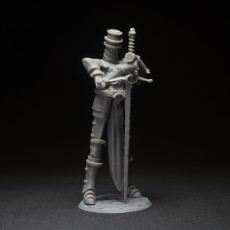 Picture of print of Blessed Long Legs Knight