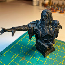Picture of print of The Archmage - Bust