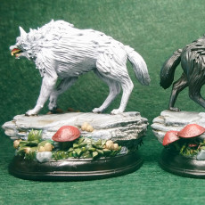 Picture of print of Pair of Northern Direwolves