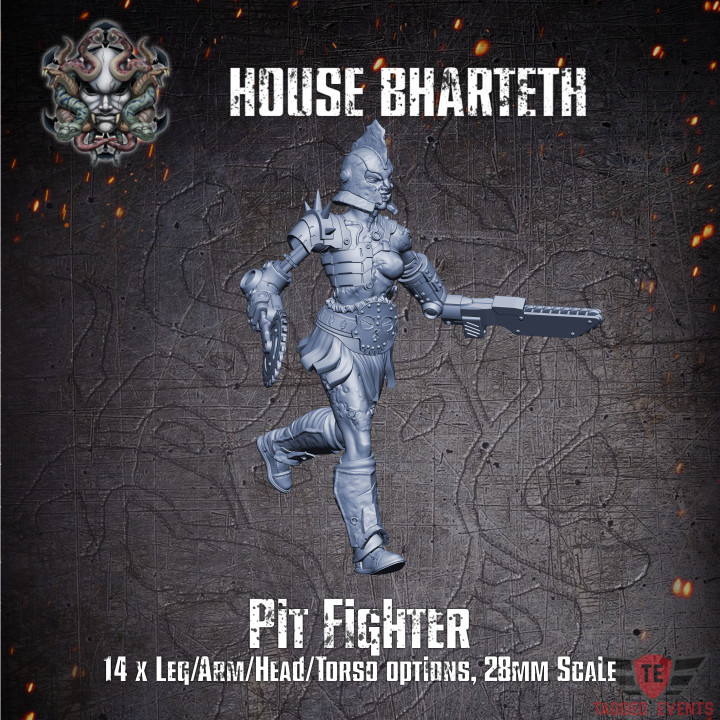 House Bharteth - Pit Fighter's Cover