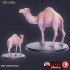 Camel Set / Desert Companion / Pack Dromedary / Wild Herd Animal / Oriental Dune Encounter image