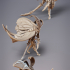 Mothfolk Swordsman - Fidelium Hunters (Pre-Supported) image