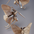 Mothfolk Lancers - Noctuoidea Lanceolaria (Pre-Supported) image