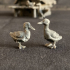 Duck pack image